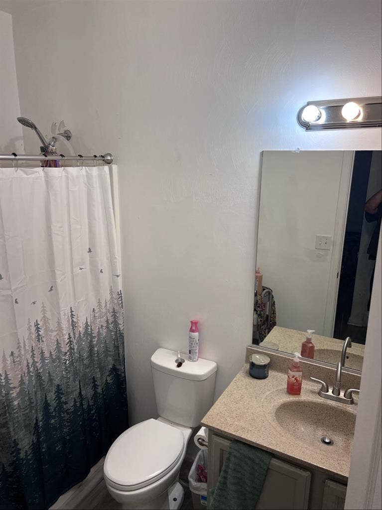 Downstairs room W/ private bathroom