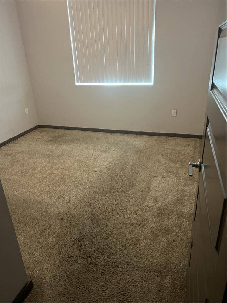Professional roommate wanted
