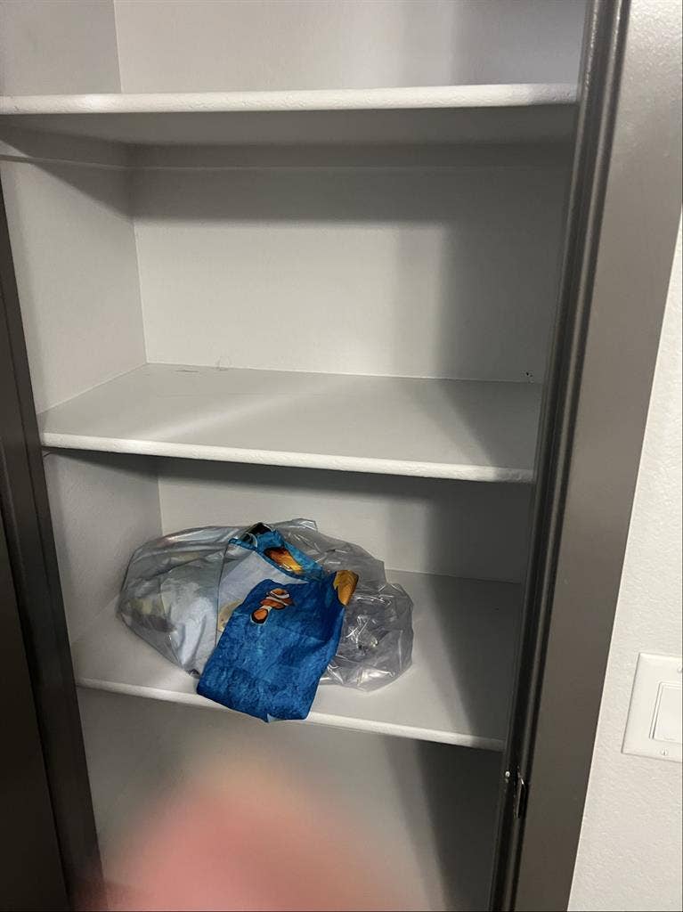 Professional roommate wanted