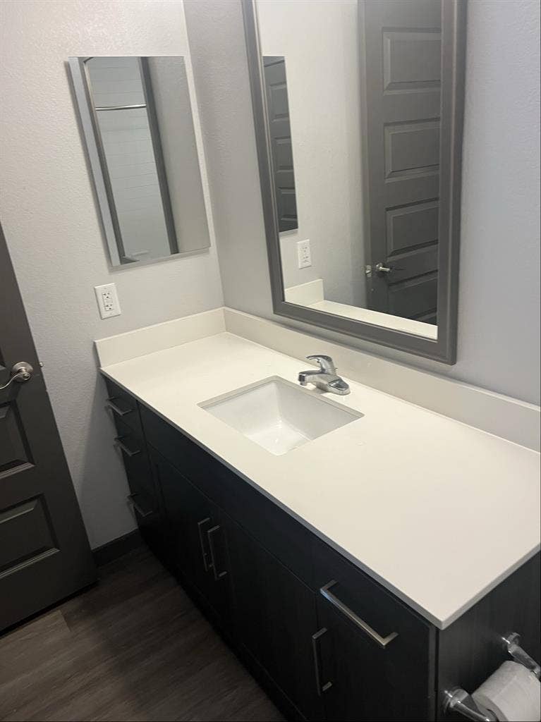 Professional roommate wanted