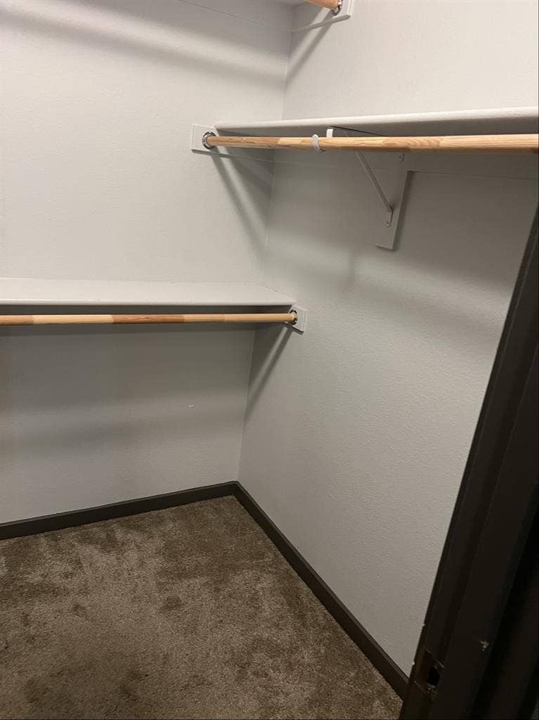 Professional roommate wanted