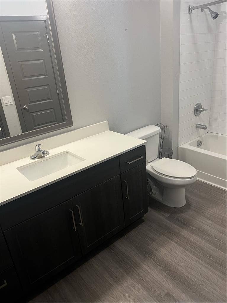 Professional roommate wanted