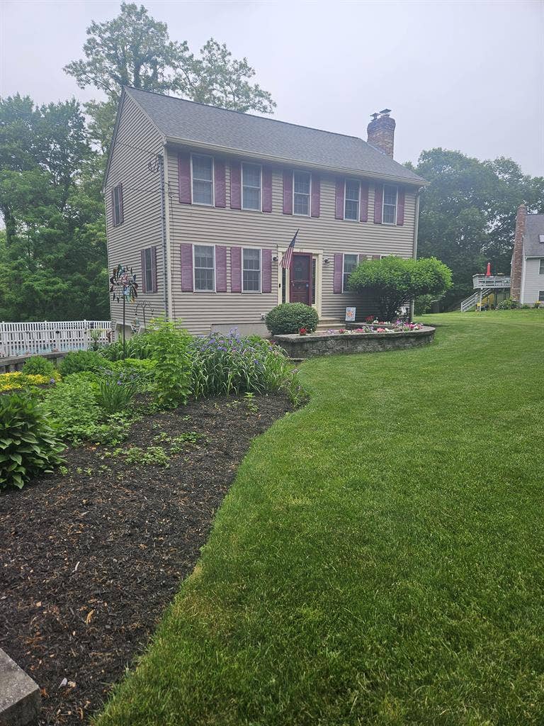 Female roommate wanted