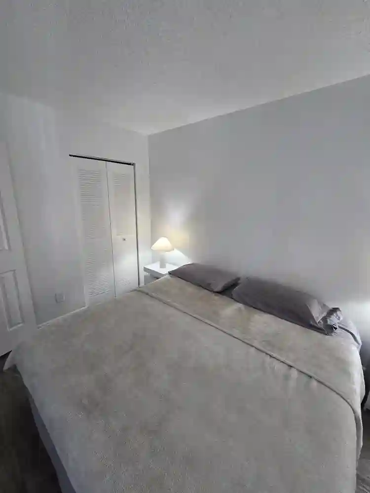 I'm looking a roommate for a rent a