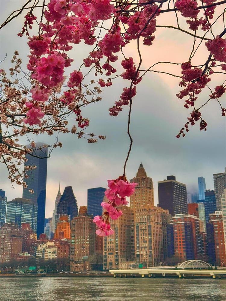 Cozy room in the best place of NYC!