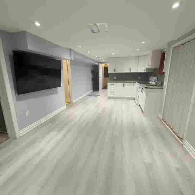 2 Bedroom walkout basement
