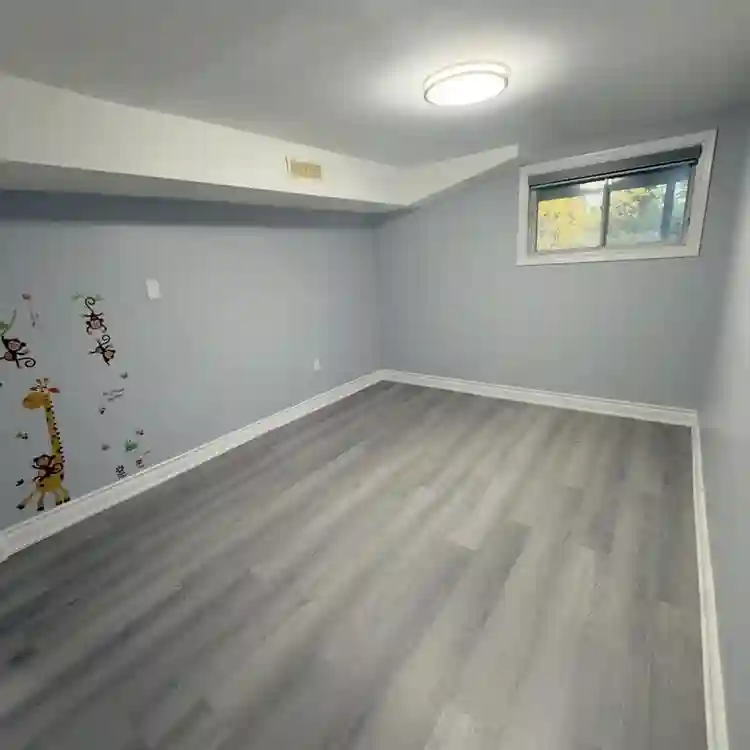 2 Bedroom walkout basement