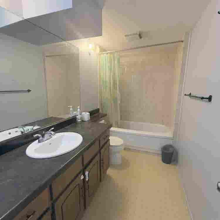 2 Bedroom walkout basement