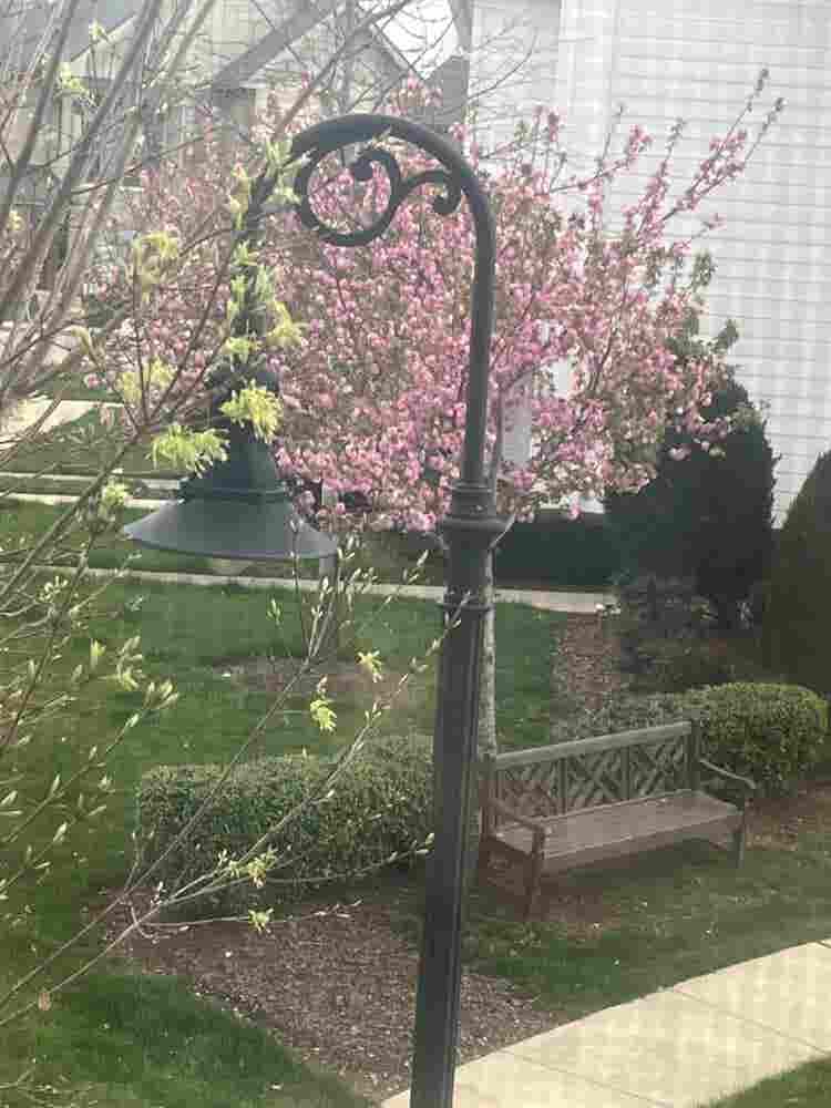 Looking for roommate-Franklin, TN