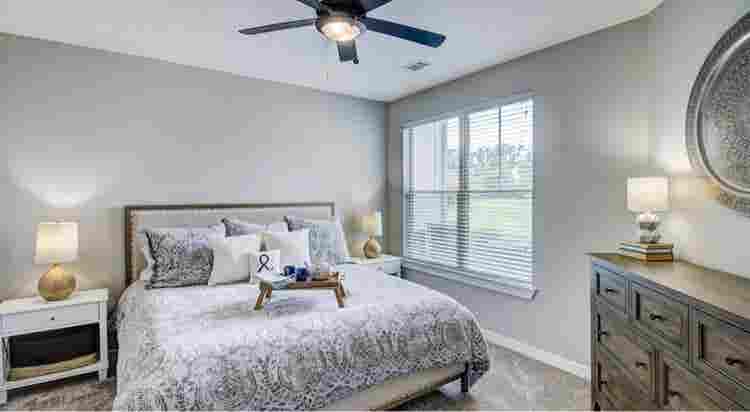 Looking for roommate-Franklin, TN