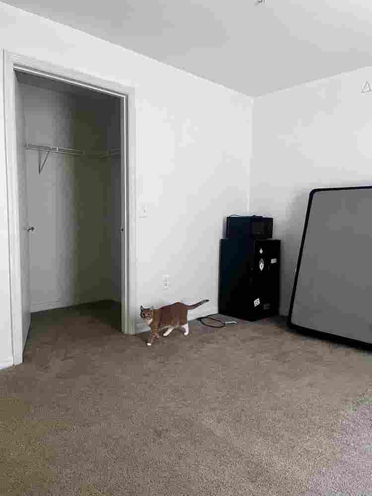 Looking for a Female Roommate