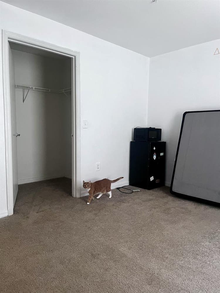 Looking for a Female Roommate