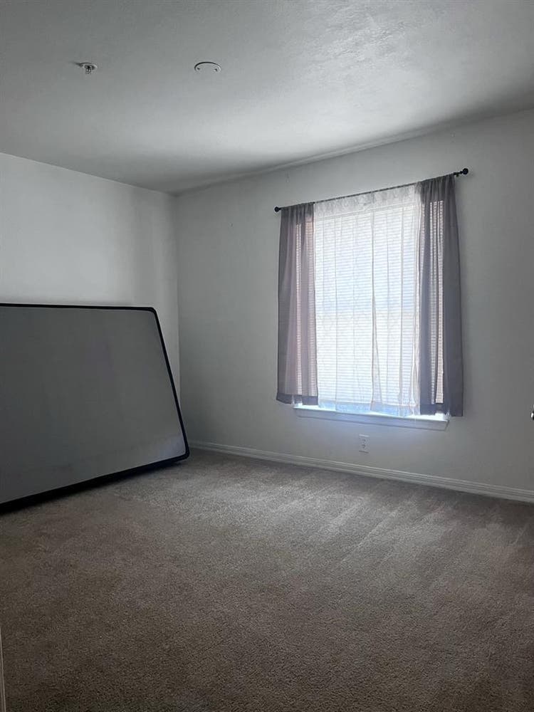 Looking for a Female Roommate