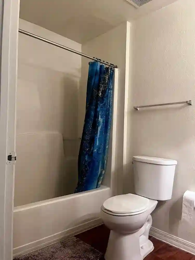 Looking for a Female Roommate