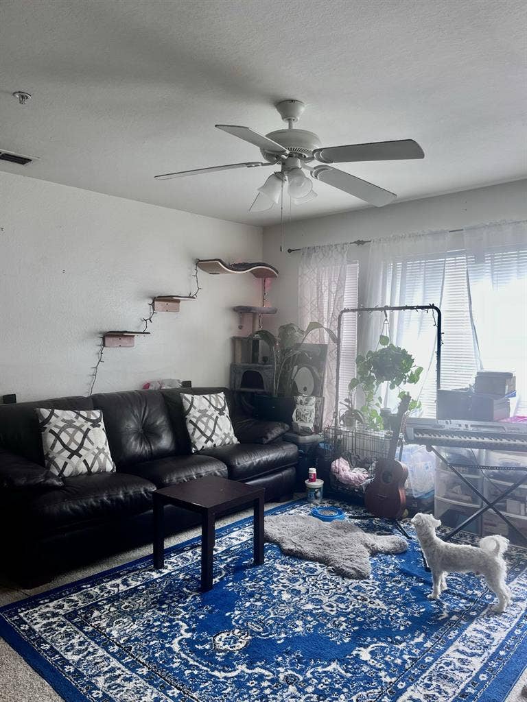 Looking for a Female Roommate
