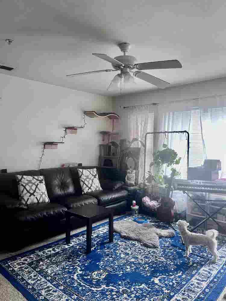 Looking for a Female Roommate