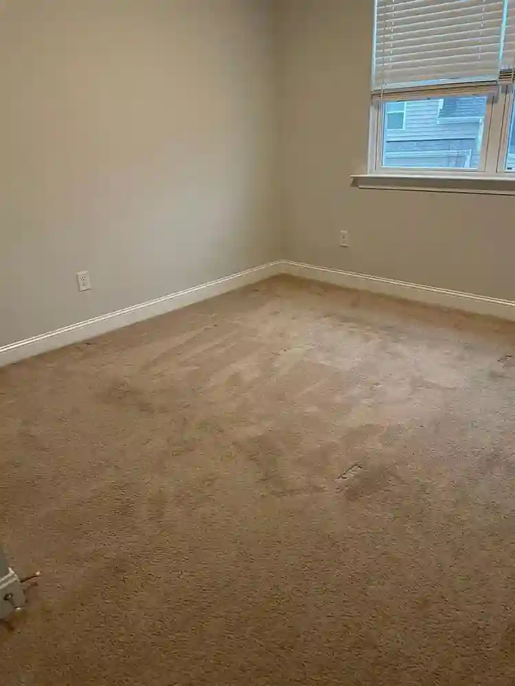 4 BR in Durham