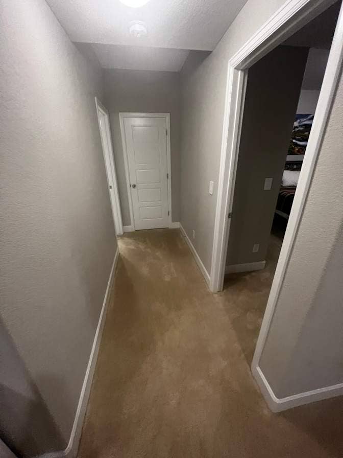 Private Walkout Basement