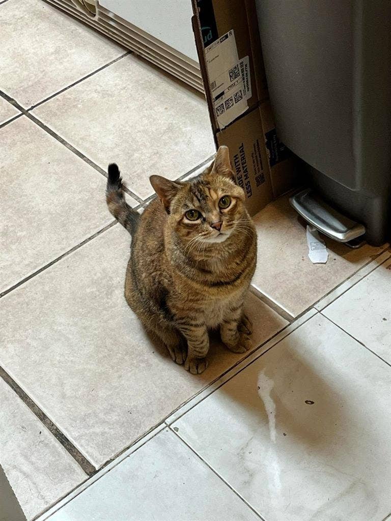 Seeking roommate for spare bedroom