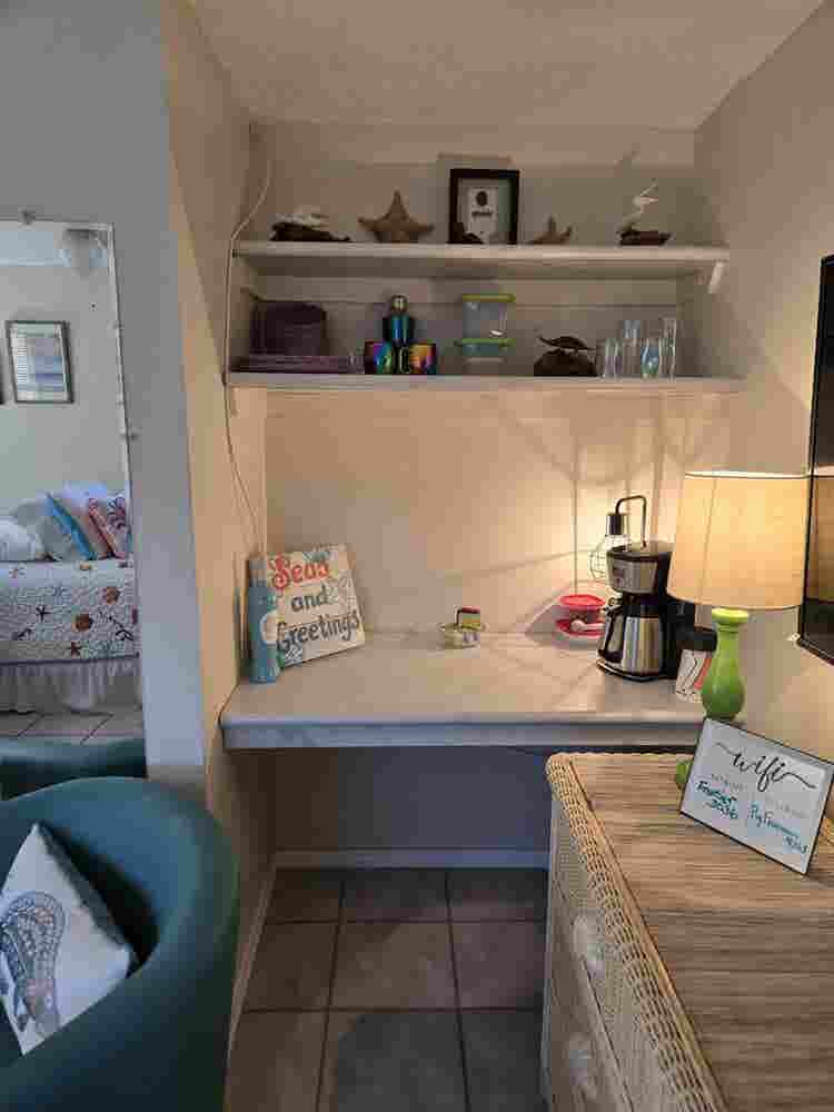 Paradise on Driftwood