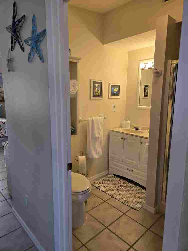 Paradise on Driftwood