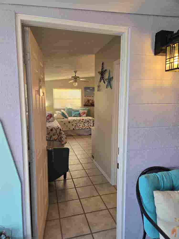 Paradise on Driftwood