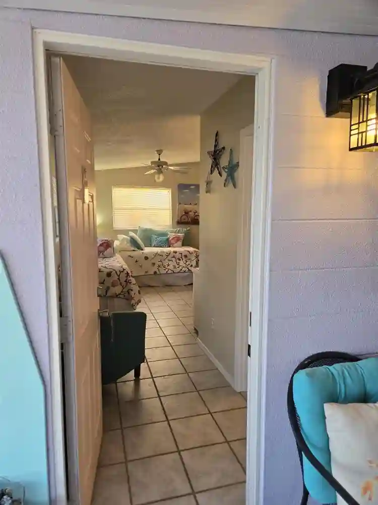 Paradise on Driftwood