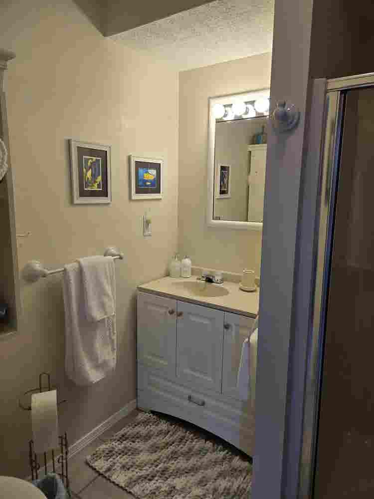 Paradise on Driftwood