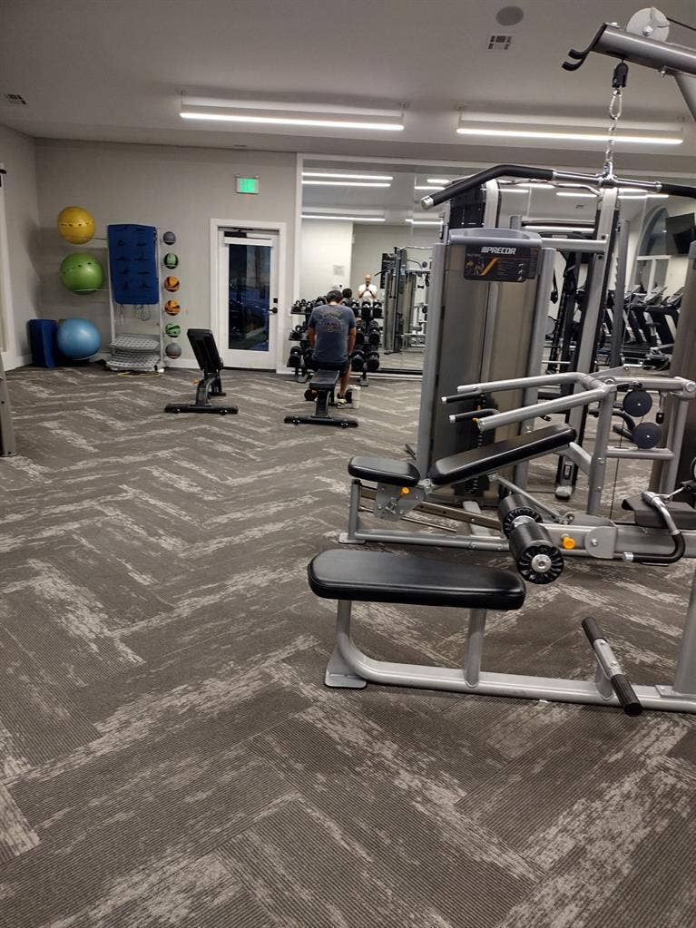 Searching for roommate in SLC!