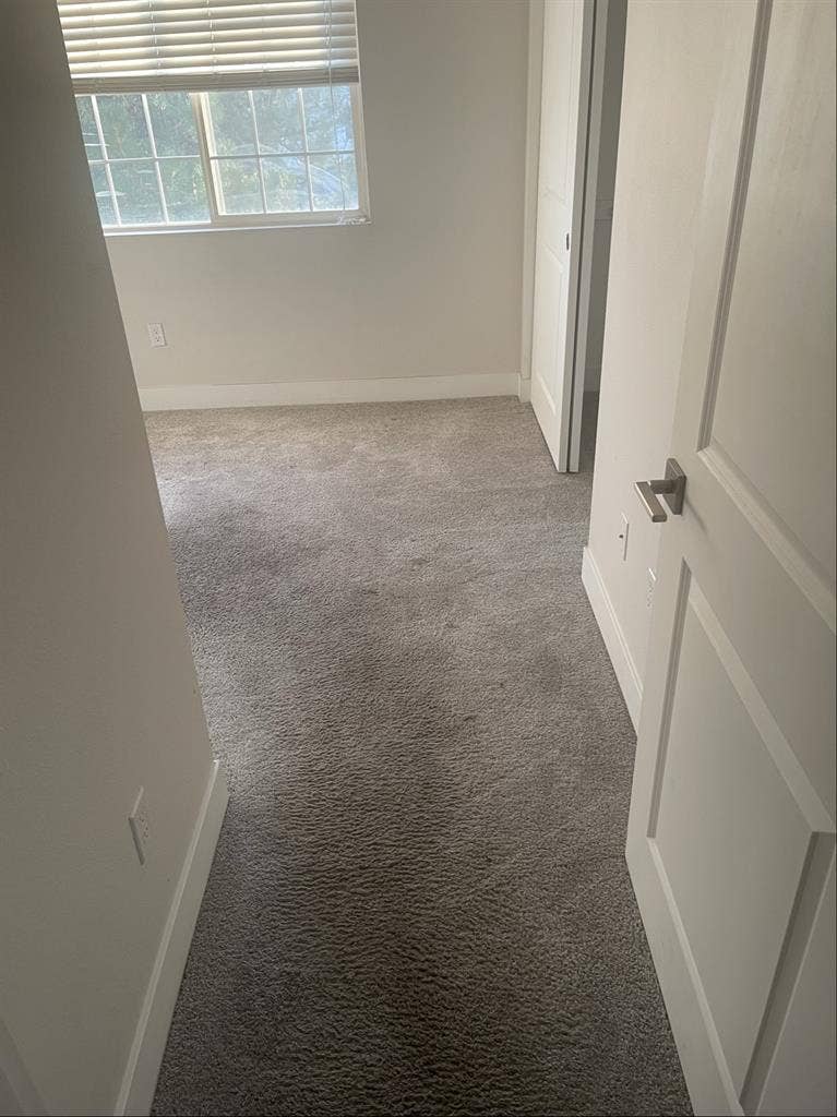 Searching for roommate in SLC!