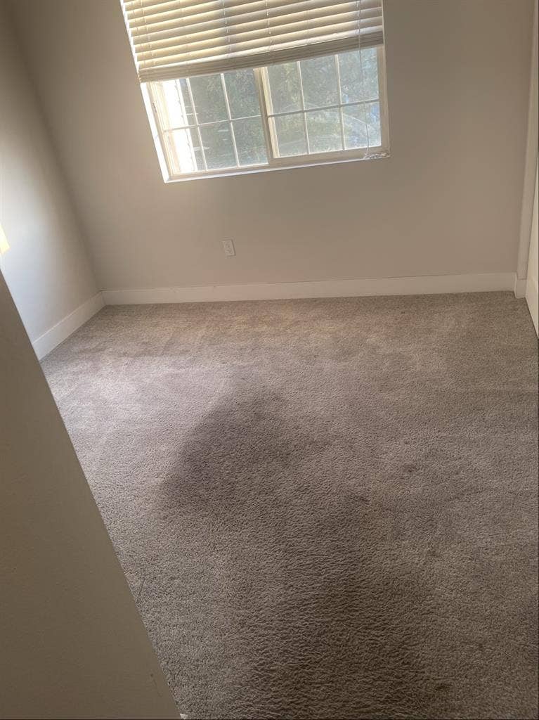 Searching for roommate in SLC!