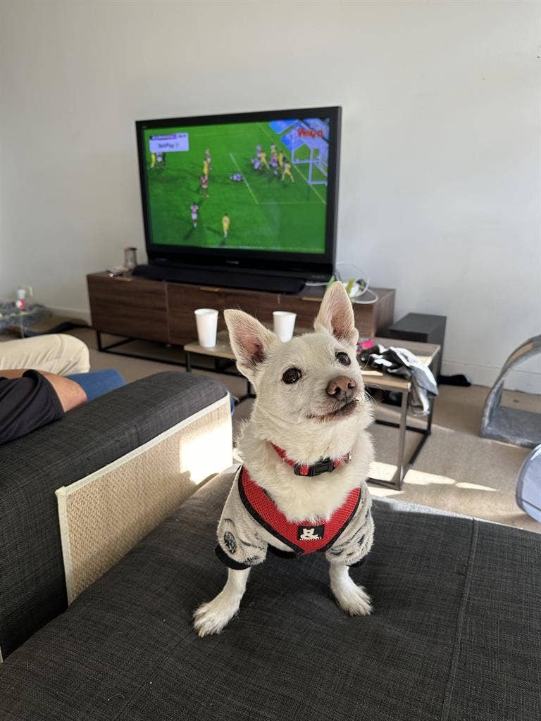 ROOM WITH PRIVATE BATHROOM