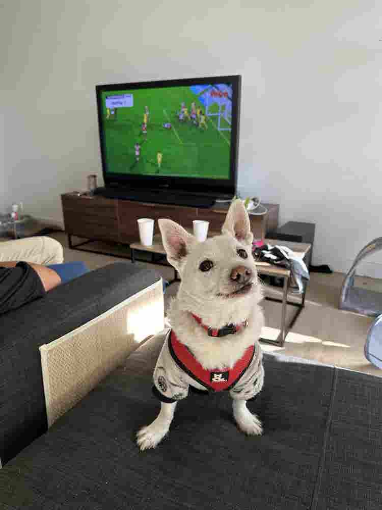 ROOM WITH PRIVATE BATHROOM