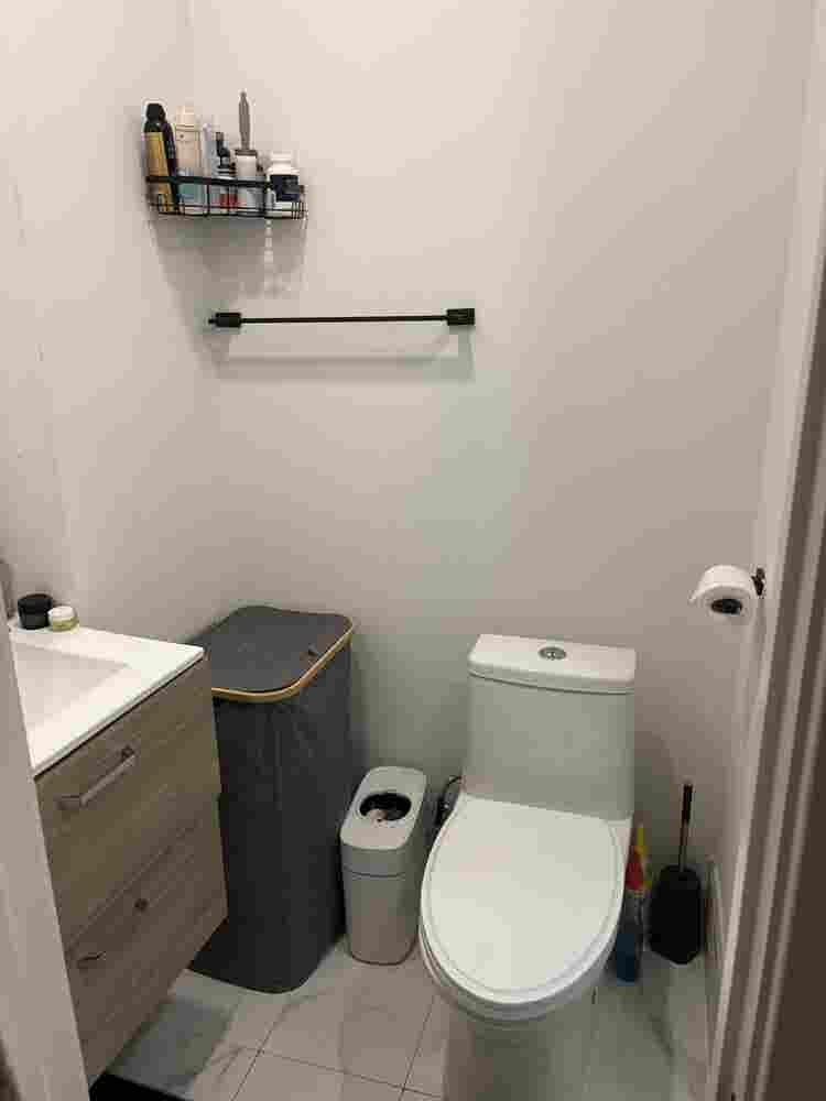 Room for Rent in Prime Williamsburg