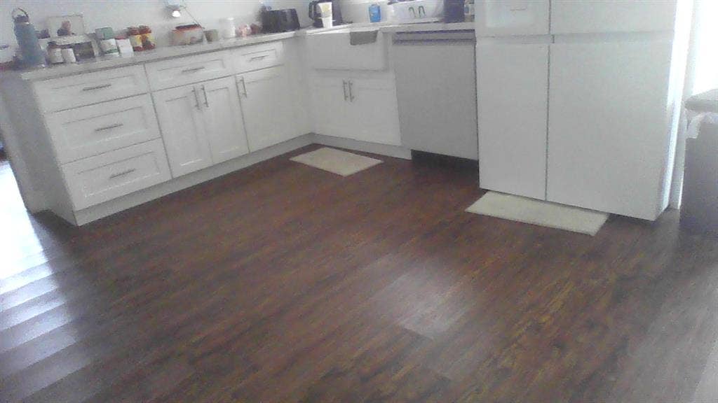 Female roommate wanted