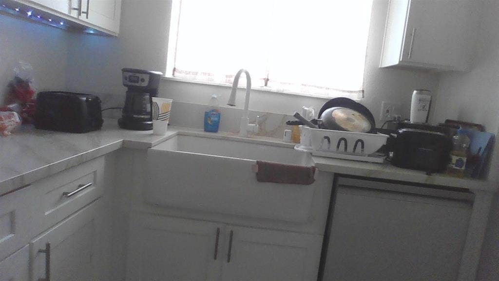 Female roommate wanted