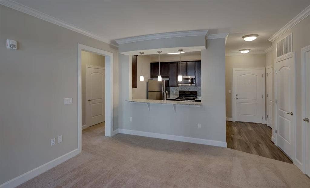 Looking for a roommate