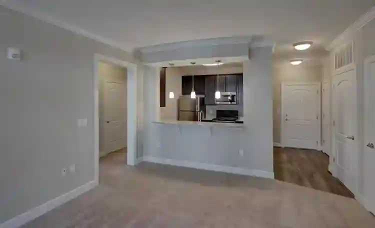 Looking for a roommate