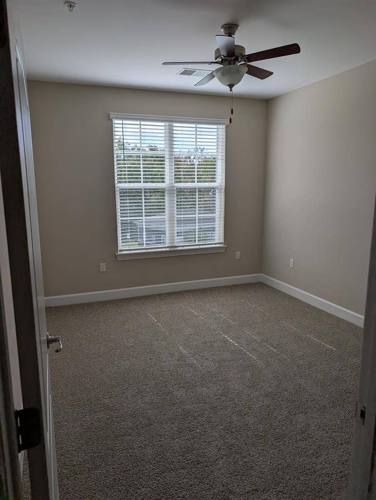 Looking for a roommate