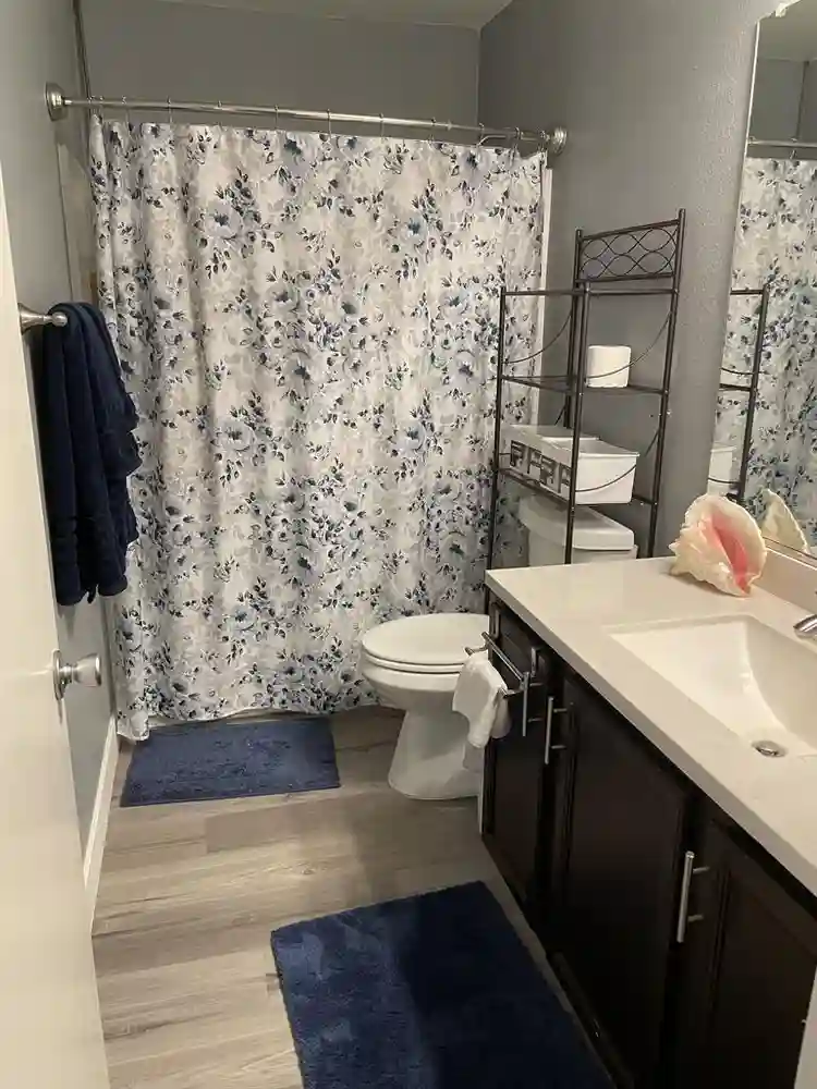 Looking for temp female roommate