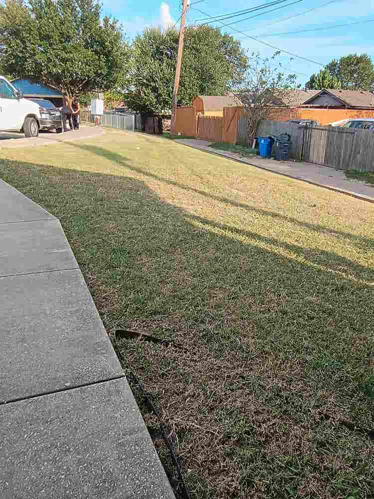 Safe, Affordable Shared Living