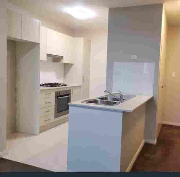 Single boy or girl and vegetarian .