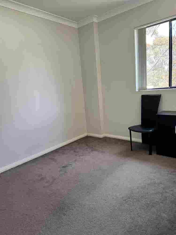 Single boy or girl , indian and veg