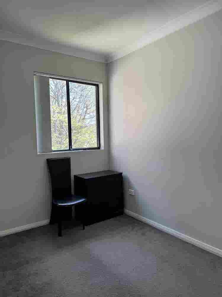 Single boy or girl , indian and veg