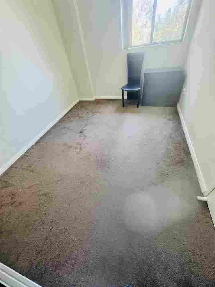 Single boy or girl , indian and veg