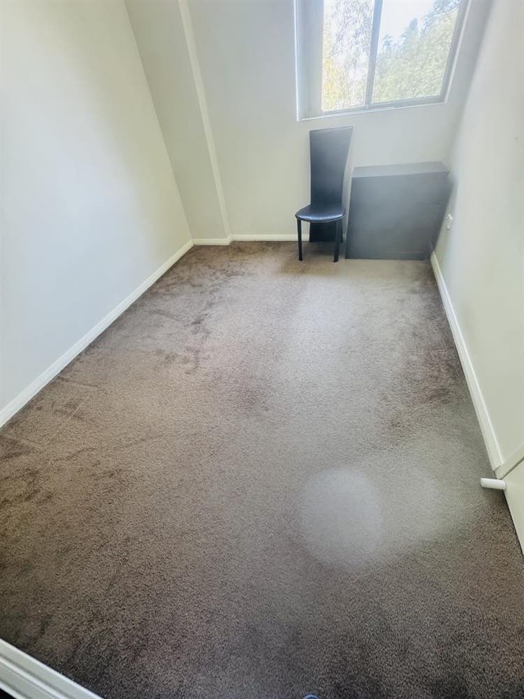 Single boy or girl , indian and veg