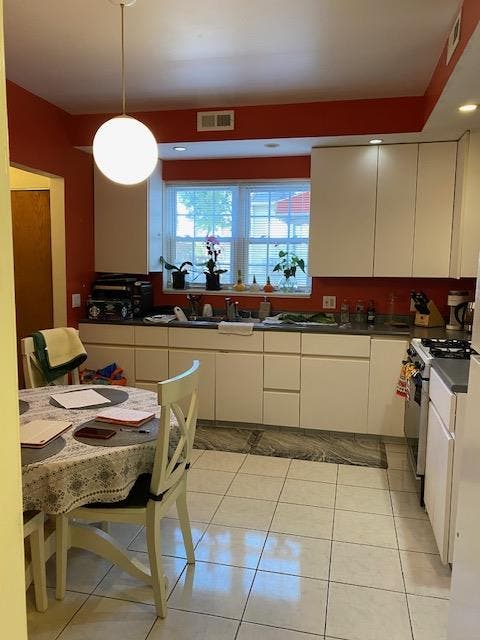 Ukrainian Village 1 bedroom apt.