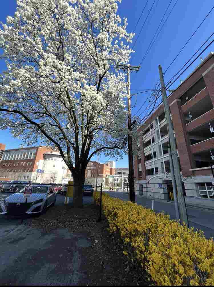 Room Available Now - $/Month!✨