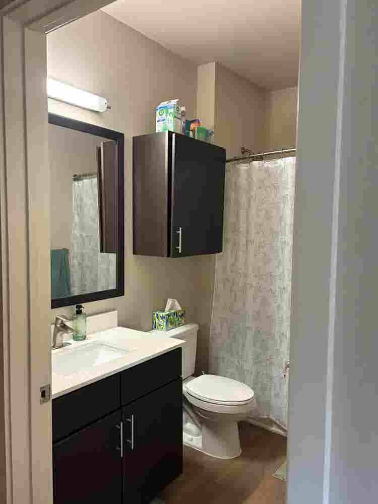 Looking for girls to sublet!