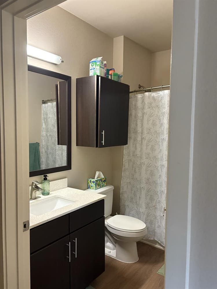 Looking for girls to sublet!